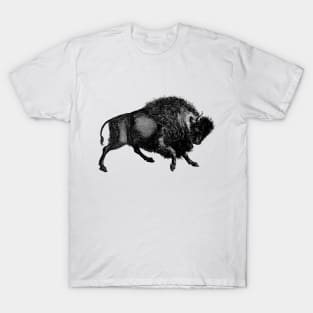 What is life? Cows run away from the storm while the buffalo charges toward it - and gets through it quicker. T-Shirt